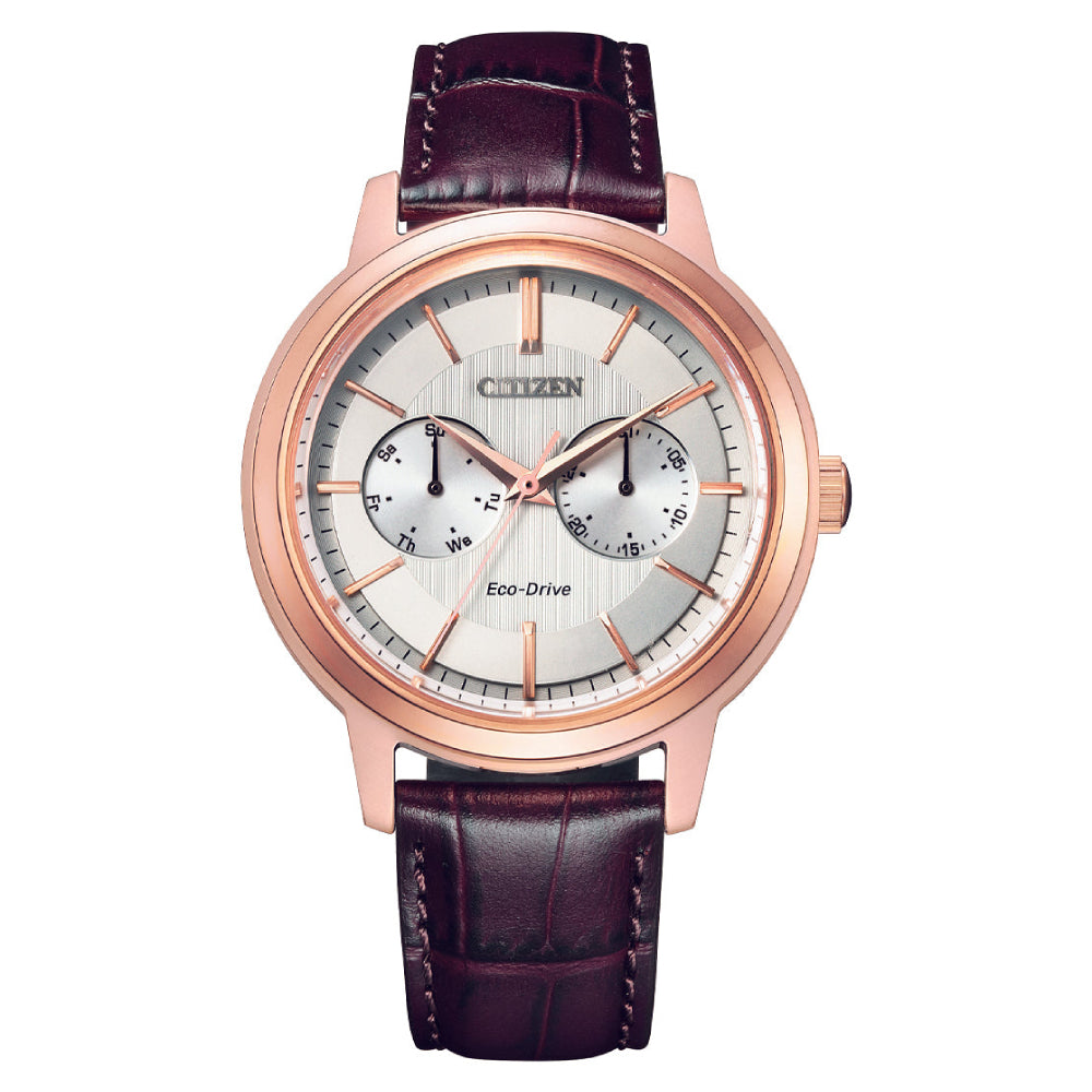 Citizen Eco-Drive Ring Solar Multi-Calendar Men's Watch (BU4032-11A)