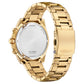 Citizen Classic Sport Chronograph Gold-Tone Men's Watches (AN8232-53A)