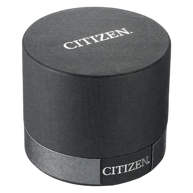 Citizen Quartz Analog Silver Dial Women's Watch (EQ0540-57A)
