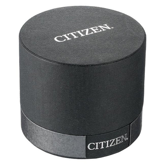 Citizen Quartz Analog Silver Dial Women's Watch (EQ0540-57A)