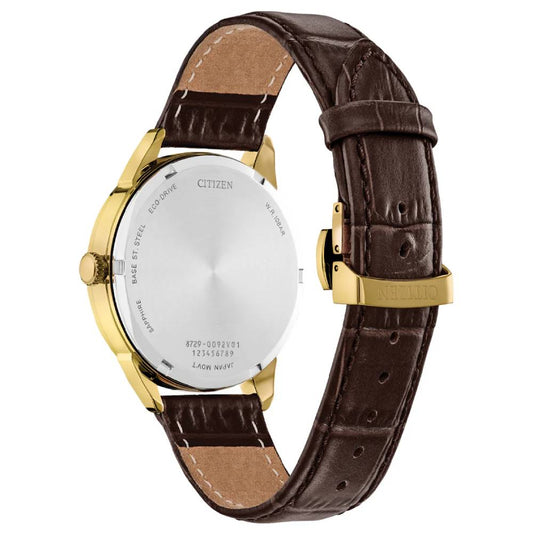 Citizen Eco-Drive Multi-Function Classic Men's Watches (BU2112-06E)